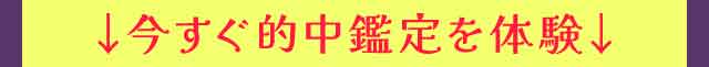 今すぐ的中鑑定を体験